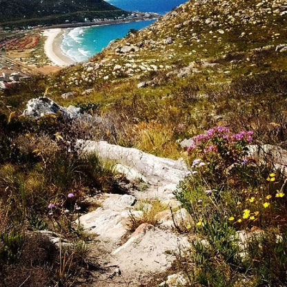 Glenbeach Villa Glencairn Cape Town Western Cape South Africa Beach, Nature, Sand