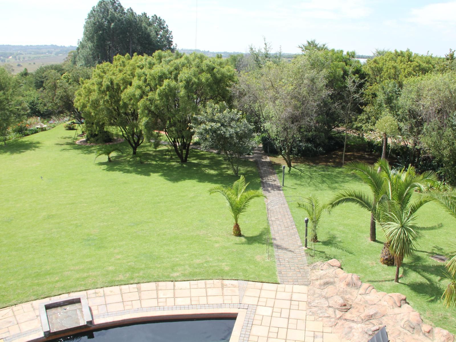 Glenda S Guest Suites Beaulieu Johannesburg Gauteng South Africa Palm Tree, Plant, Nature, Wood, Garden, Swimming Pool