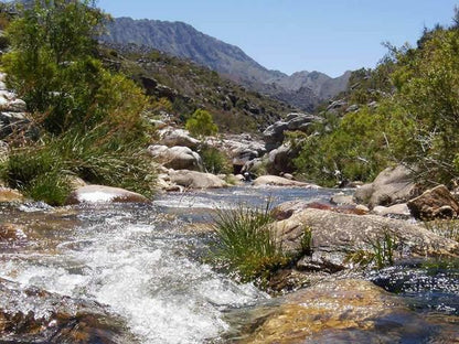 Glendonald Cottage Prince Alfred Hamlet Western Cape South Africa River, Nature, Waters, Waterfall