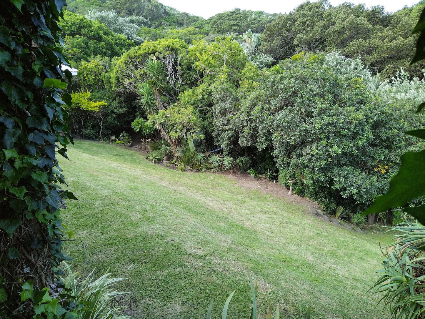 Glengariff Lodge Glengarriff East London Eastern Cape South Africa Plant, Nature, Tree, Wood, Garden