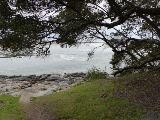 Glengariff Lodge Glengarriff East London Eastern Cape South Africa Beach, Nature, Sand, Tree, Plant, Wood