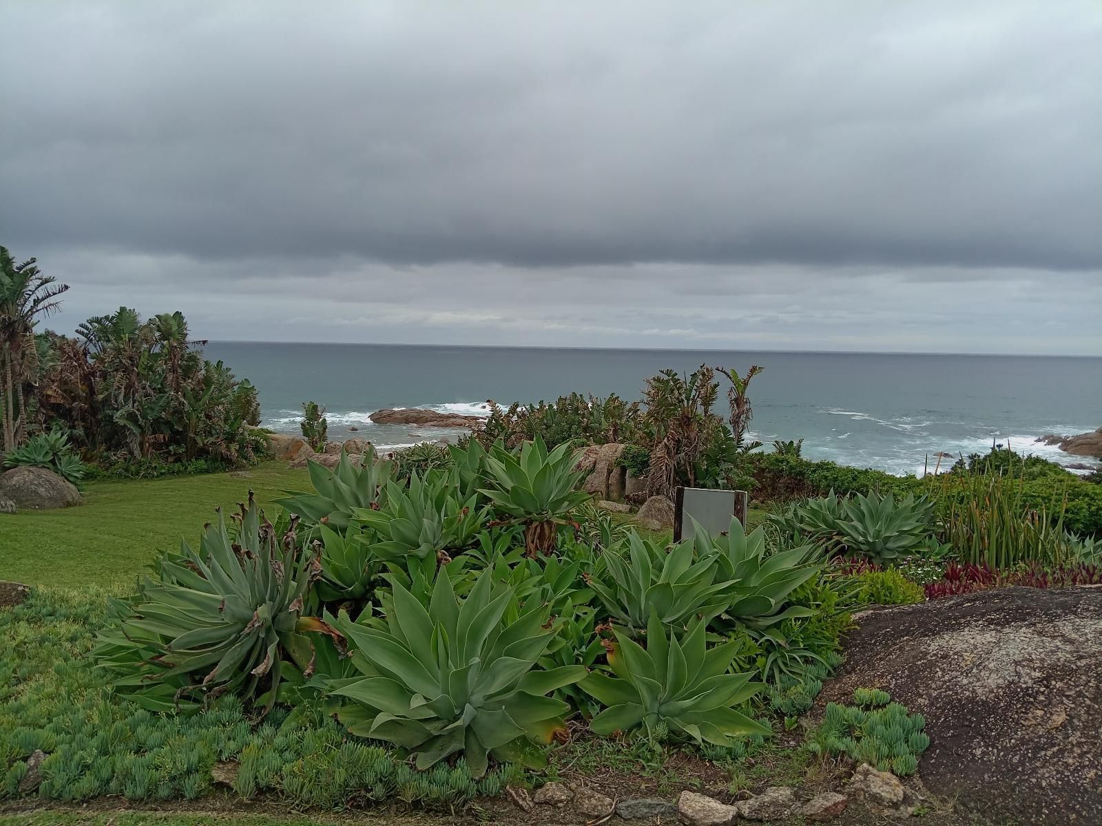 Glenmore Sands Glenmore Beach Port Edward Kwazulu Natal South Africa Beach, Nature, Sand, Palm Tree, Plant, Wood