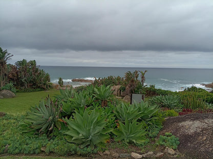 Glenmore Sands Glenmore Beach Port Edward Kwazulu Natal South Africa Beach, Nature, Sand, Palm Tree, Plant, Wood