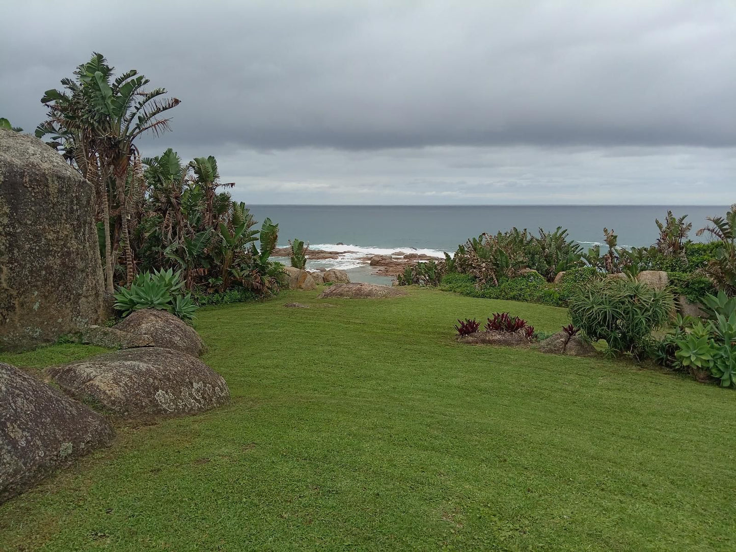 Glenmore Sands Glenmore Beach Port Edward Kwazulu Natal South Africa Beach, Nature, Sand, Palm Tree, Plant, Wood