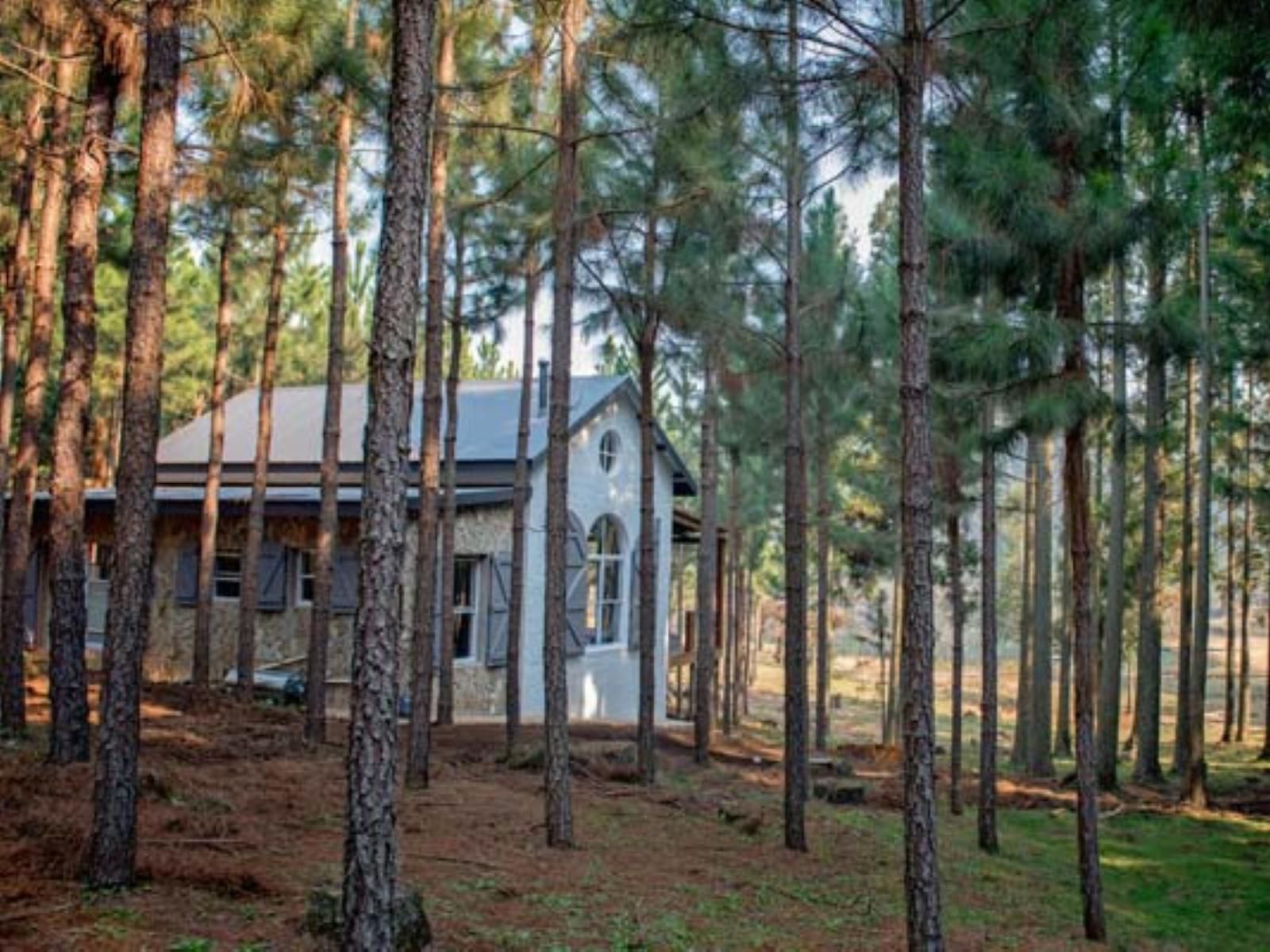 Glenogle Farm Magoebaskloof Limpopo Province South Africa Building, Architecture, Cabin