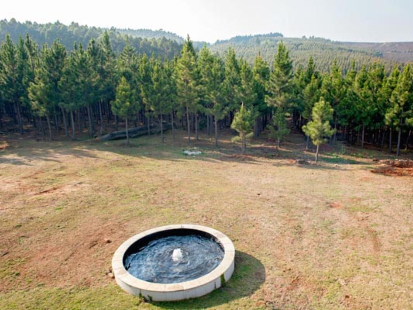 Glenogle Farm Magoebaskloof Limpopo Province South Africa Tree, Plant, Nature, Wood