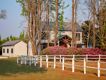 Glenogle Farm Magoebaskloof Limpopo Province South Africa 