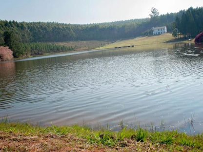 Glenogle Farm Magoebaskloof Limpopo Province South Africa Lake, Nature, Waters, River