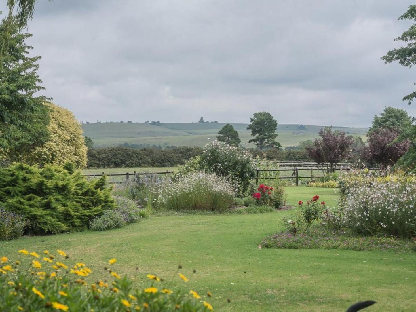 Glen Ormond Rosetta Kwazulu Natal South Africa Field, Nature, Agriculture, Garden, Plant