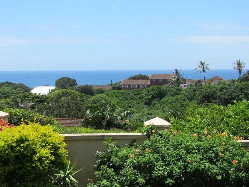 Glenview Zinkwazi Beach Nkwazi Kwazulu Natal South Africa Complementary Colors, Beach, Nature, Sand, Palm Tree, Plant, Wood