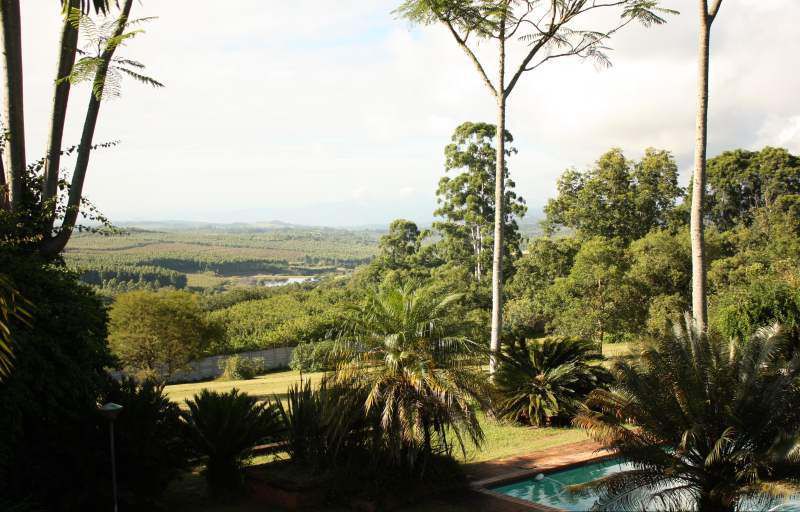 Glory Hill Country Manor White River Mpumalanga South Africa Nature