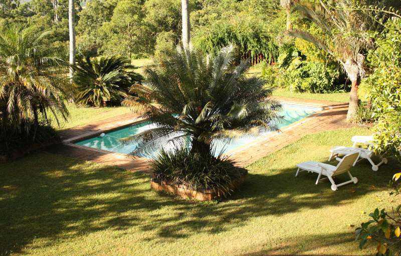 Glory Hill Country Manor White River Mpumalanga South Africa Palm Tree, Plant, Nature, Wood, Garden, Swimming Pool
