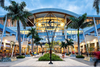 Glorystar The Millennial Umhlanga, Palm Tree, Plant, Nature, Wood, Person