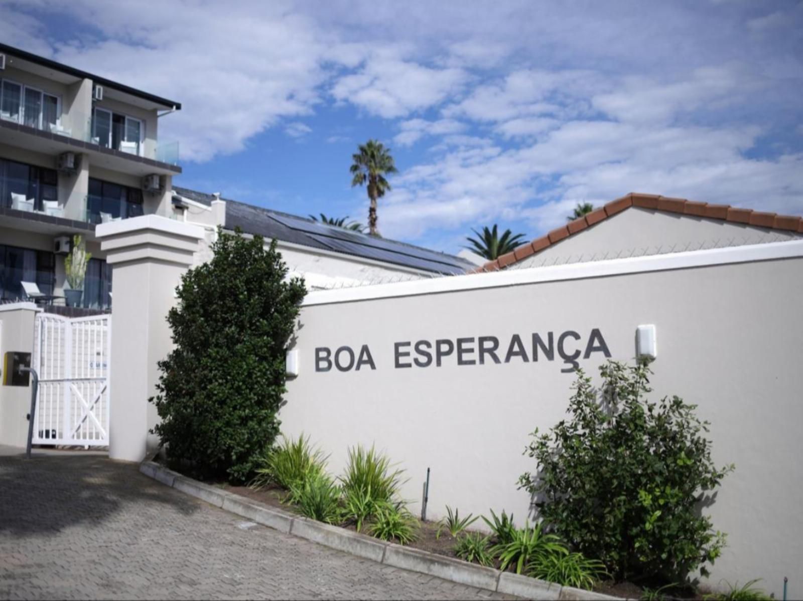 Go2Boa Mossel Bay Western Cape South Africa House, Building, Architecture, Palm Tree, Plant, Nature, Wood