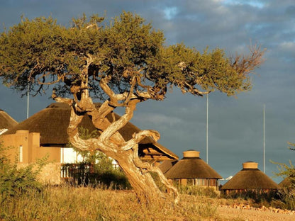 Gocheganas Lodge, Building, Architecture