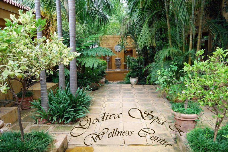 Godiva Boutique Accommodation And Spa Groblersdal Mpumalanga South Africa Palm Tree, Plant, Nature, Wood, Garden