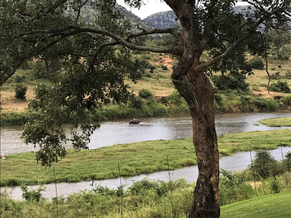 Goedehoop Boutique Manor House Malelane Mpumalanga South Africa River, Nature, Waters, Tree, Plant, Wood