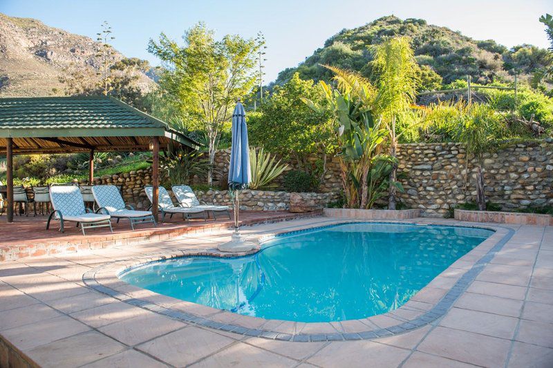Goedemoed Farm Cottage Accommodation Montagu Western Cape South Africa Complementary Colors, Garden, Nature, Plant, Swimming Pool