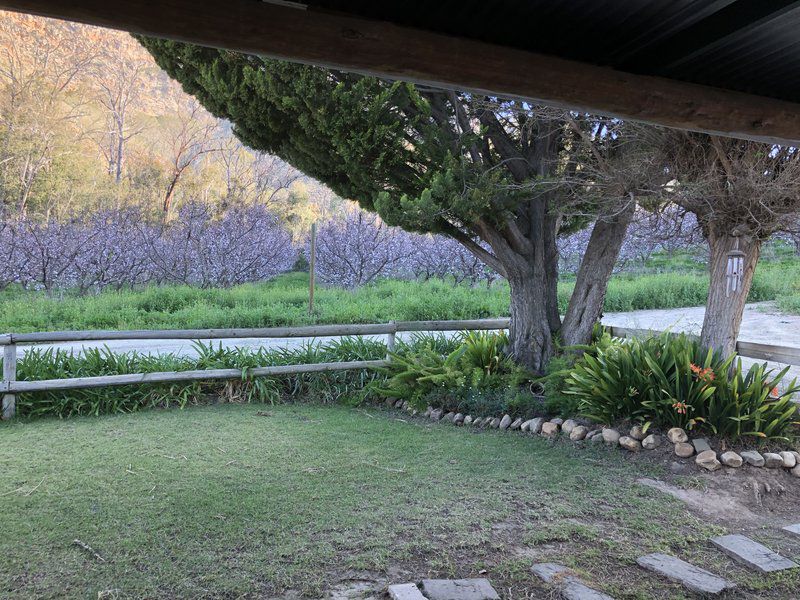 Goedemoed Farm Cottage Accommodation Montagu Western Cape South Africa Plant, Nature