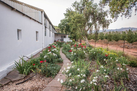 Goedereede Guest Farm Robertson Western Cape South Africa House, Building, Architecture, Plant, Nature, Garden