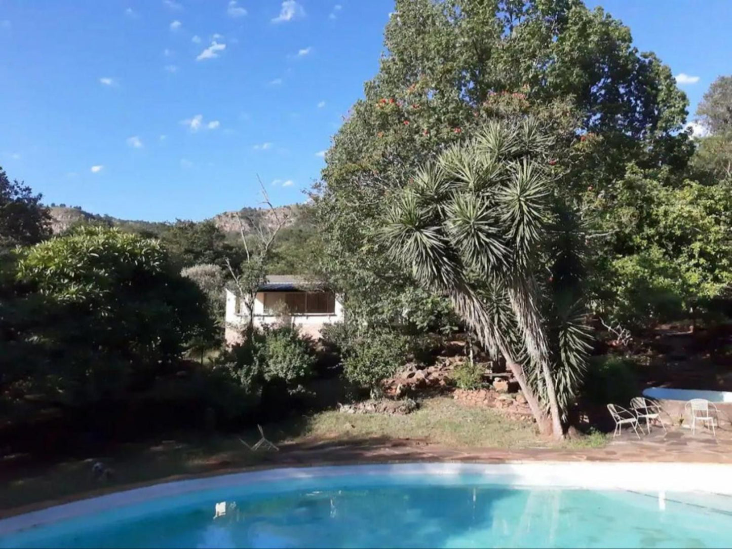 Goederus Guest Farm Schoemanskloof Mpumalanga South Africa Palm Tree, Plant, Nature, Wood, Swimming Pool