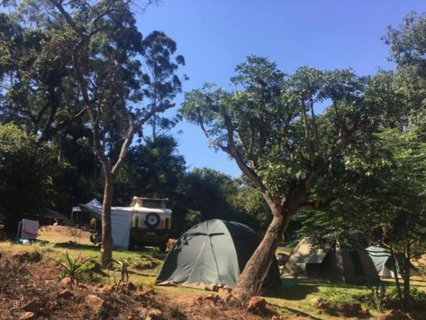 Goederus Guest Farm Schoemanskloof Mpumalanga South Africa Tent, Architecture, Tree, Plant, Nature, Wood