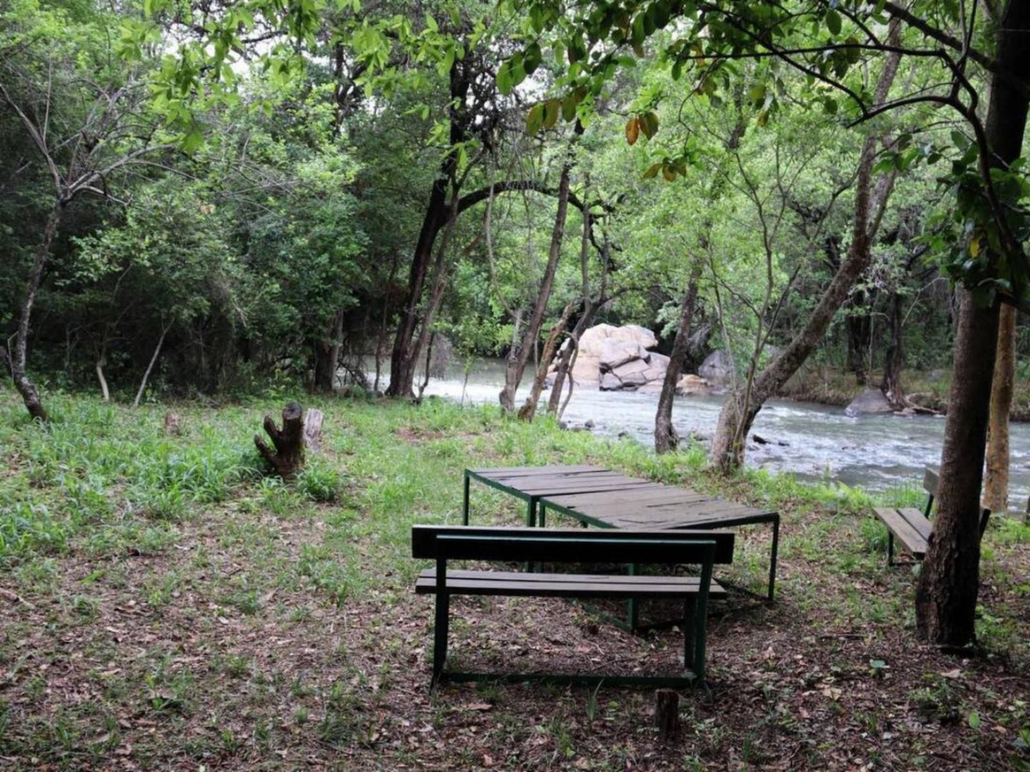 Goederus Guest Farm Schoemanskloof Mpumalanga South Africa Forest, Nature, Plant, Tree, Wood, River, Waters