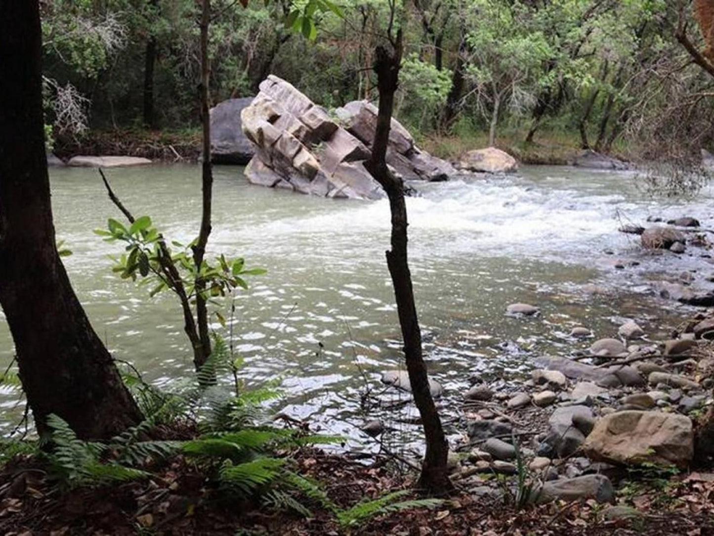 Goederus Guest Farm Schoemanskloof Mpumalanga South Africa Forest, Nature, Plant, Tree, Wood, River, Waters, Waterfall