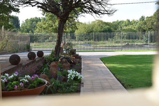 Goedgedacht Guest Rooms Baillie Park Potchefstroom North West Province South Africa Plant, Nature, Garden