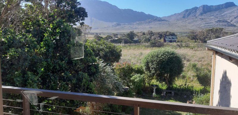 Gogo S Garden Apartment Pringle Bay Western Cape South Africa Cactus, Plant, Nature, Desert, Sand, Garden