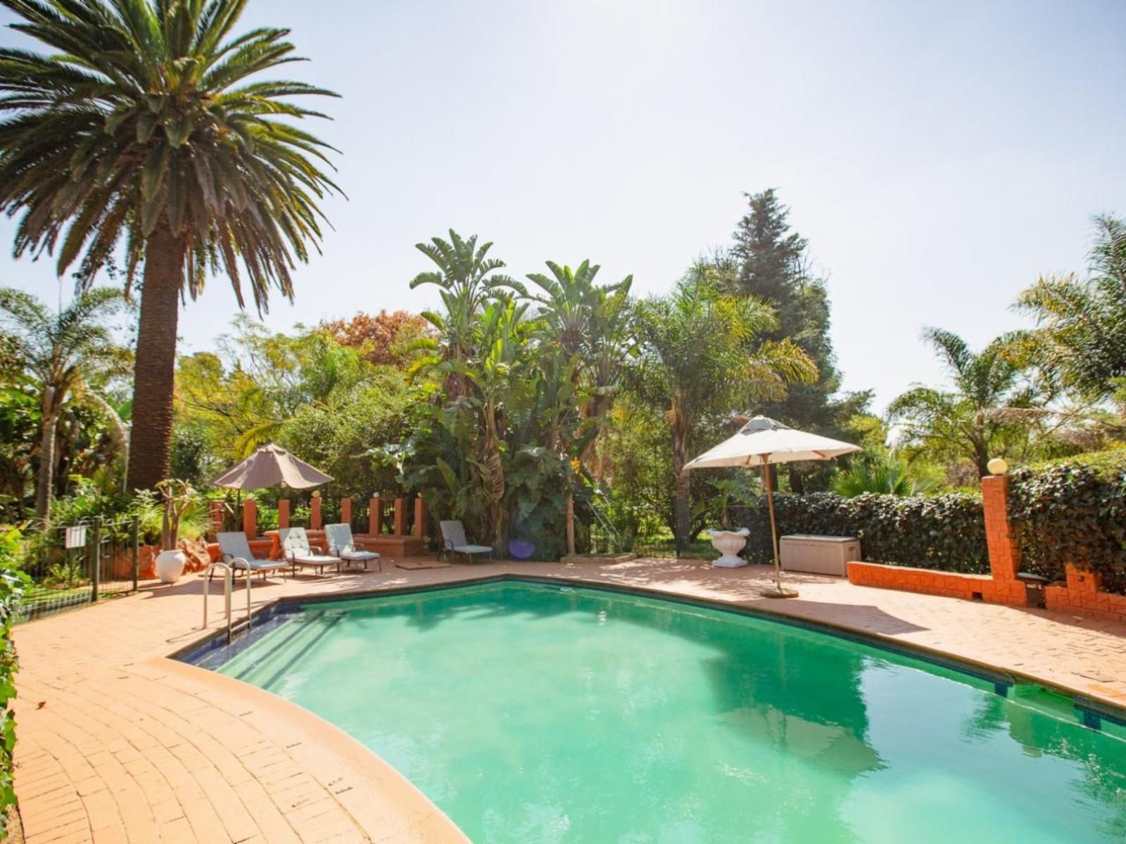 Golden Candle Guest House Honeydew Johannesburg Gauteng South Africa Complementary Colors, Palm Tree, Plant, Nature, Wood, Garden, Swimming Pool