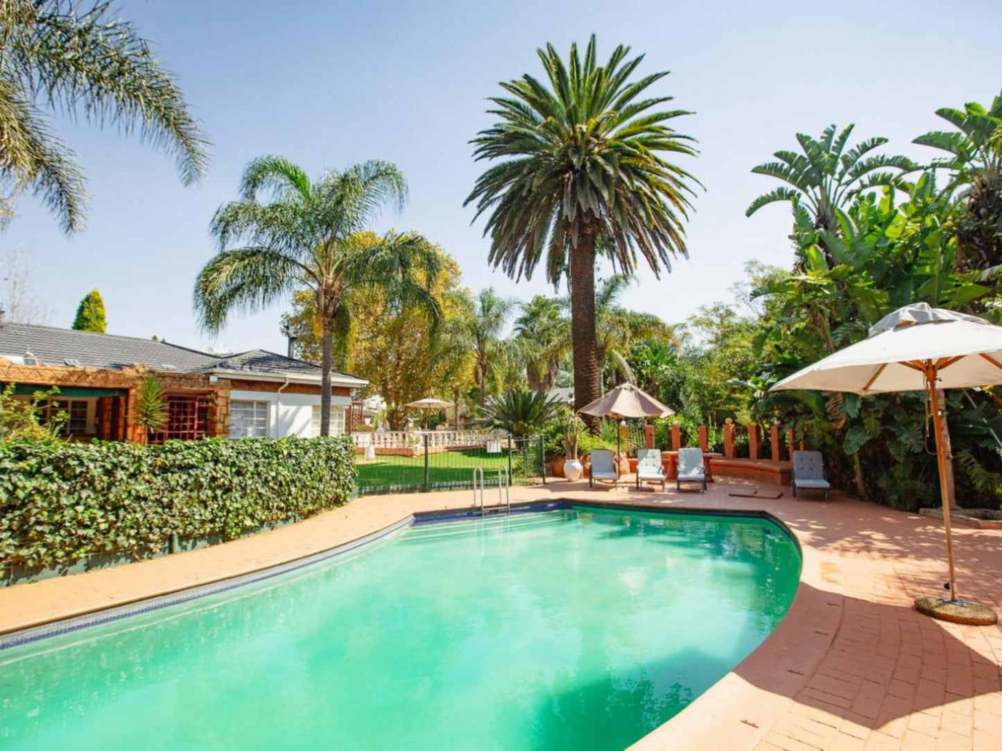 Golden Candle Guest House Honeydew Johannesburg Gauteng South Africa Complementary Colors, House, Building, Architecture, Palm Tree, Plant, Nature, Wood, Swimming Pool