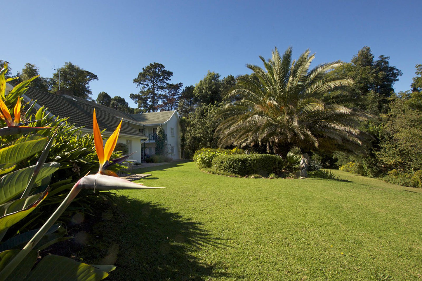 Golden Hill Guest House Golden Hill Somerset West Western Cape South Africa Complementary Colors, House, Building, Architecture, Palm Tree, Plant, Nature, Wood