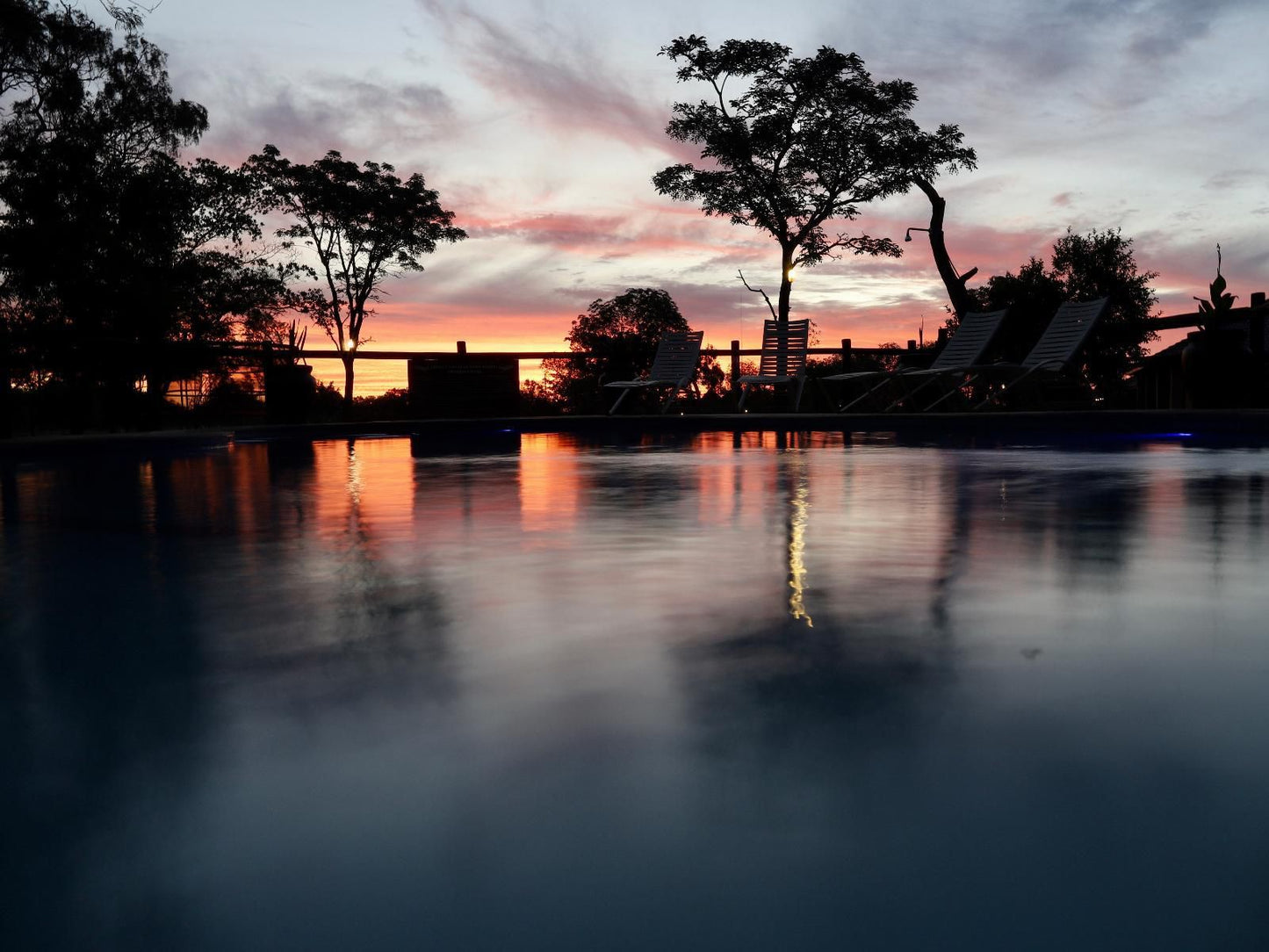 Golden Impalas Bush Resort Dinokeng Game Reserve Gauteng South Africa Sunset, Nature, Sky