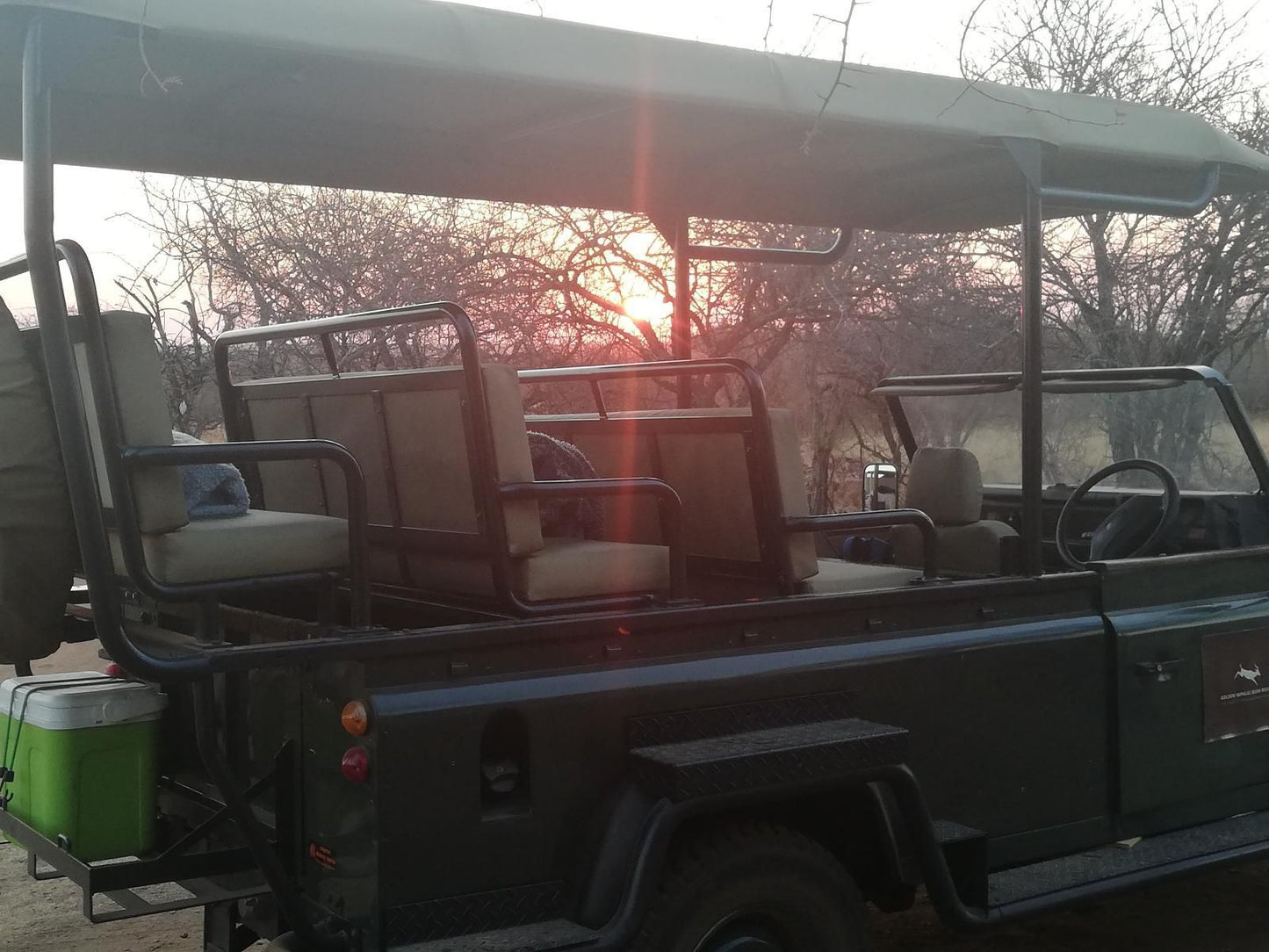 Golden Impalas Bush Resort Dinokeng Game Reserve Gauteng South Africa Unsaturated, Sunset, Nature, Sky, Vehicle