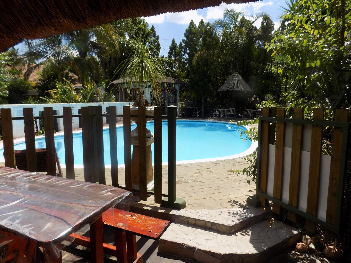 Golden Lantern Town Lodge, Palm Tree, Plant, Nature, Wood, Swimming Pool