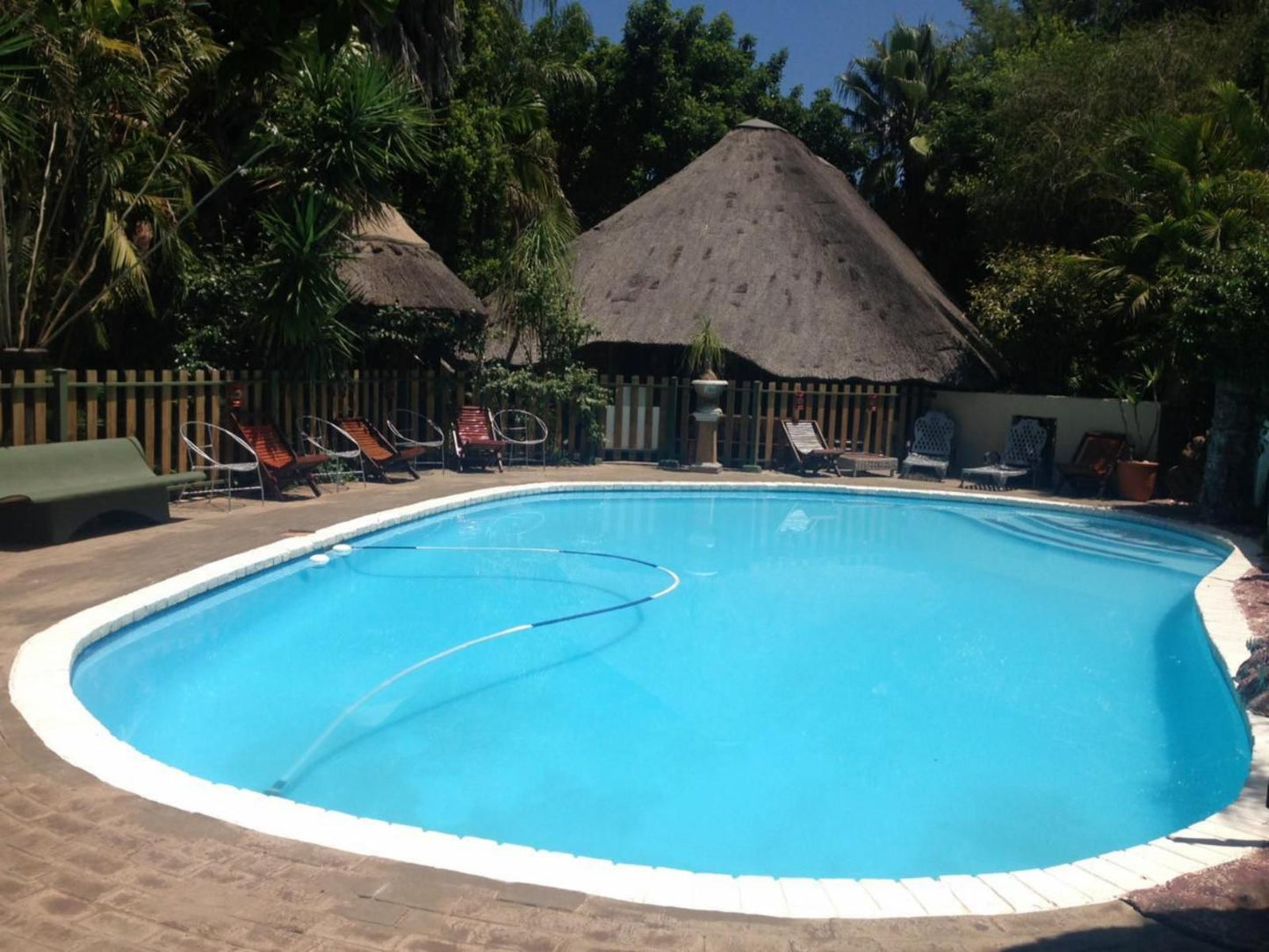 Golden Lantern Town Lodge, Palm Tree, Plant, Nature, Wood, Swimming Pool