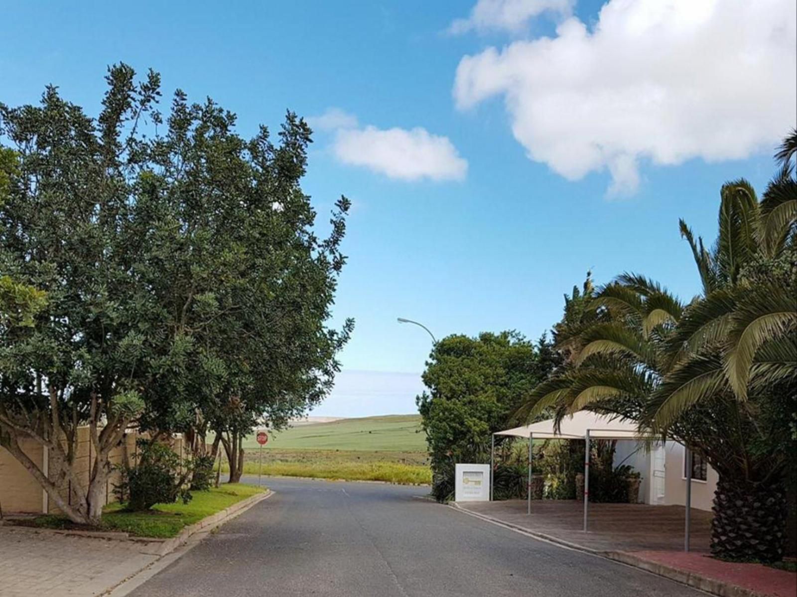 Golden Key Bandb Guest House Vredenburg Western Cape South Africa Palm Tree, Plant, Nature, Wood, Street