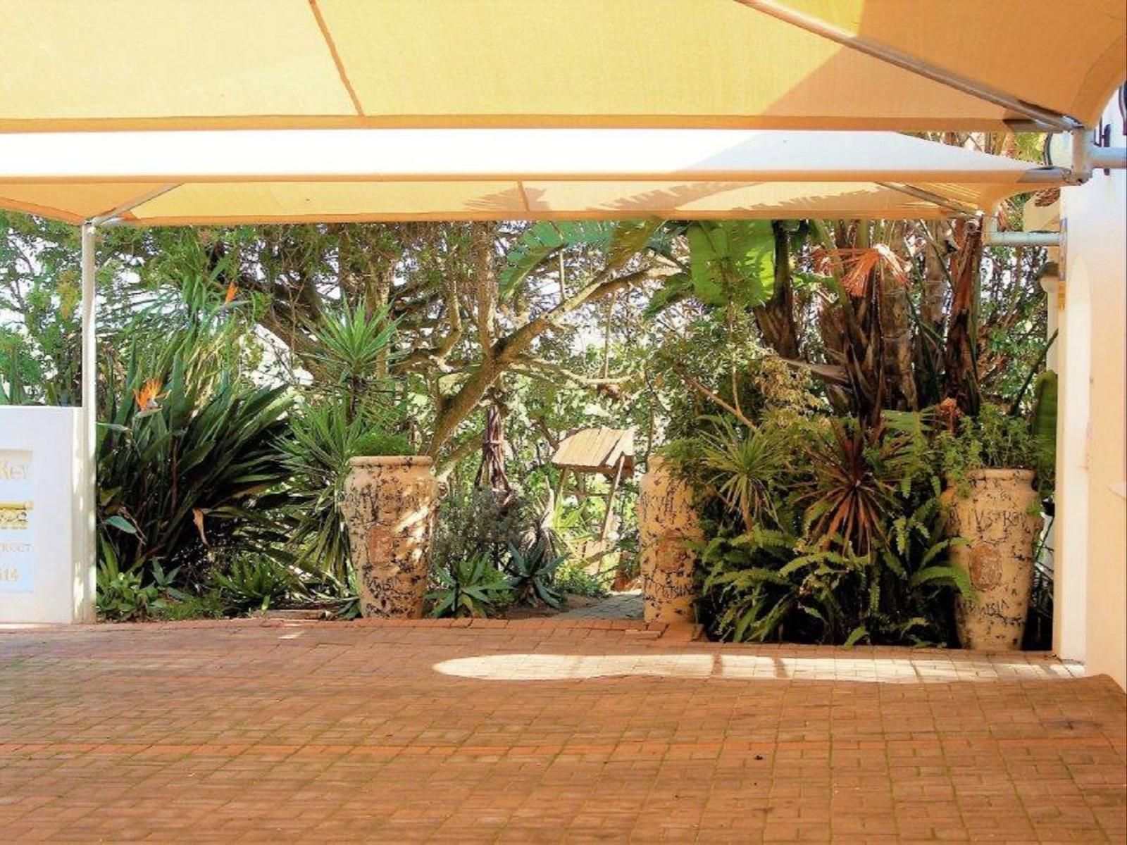 Golden Key Bandb Guest House Vredenburg Western Cape South Africa Palm Tree, Plant, Nature, Wood, Garden