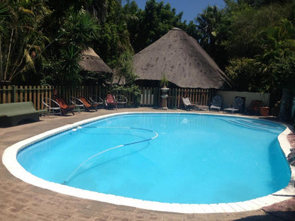 Golden Lantern Guest Lodge Bela Bela Warmbaths Limpopo Province South Africa Palm Tree, Plant, Nature, Wood, Swimming Pool