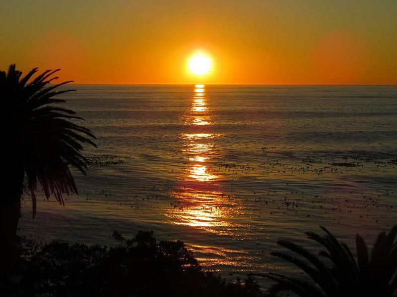 Golden Quilt Accommodation Kempton Park Johannesburg Gauteng South Africa Beach, Nature, Sand, Palm Tree, Plant, Wood, Sky, Ocean, Waters, Sunset