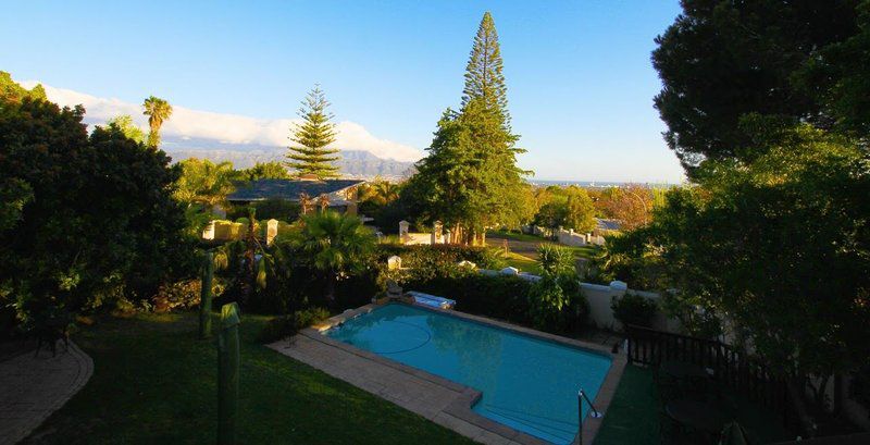 Golf And Garden Guesthouse Somerset West Western Cape South Africa Mountain, Nature, Palm Tree, Plant, Wood, Garden, Swimming Pool