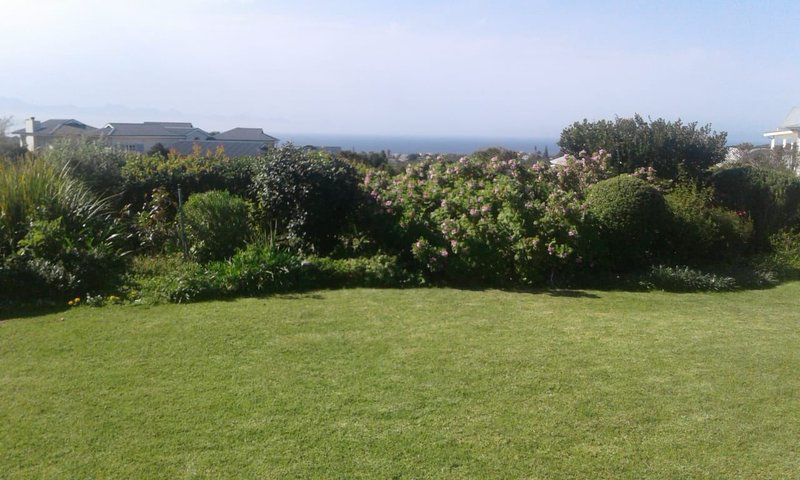 Golf View Brackenridge Plettenberg Bay Western Cape South Africa Complementary Colors, Garden, Nature, Plant