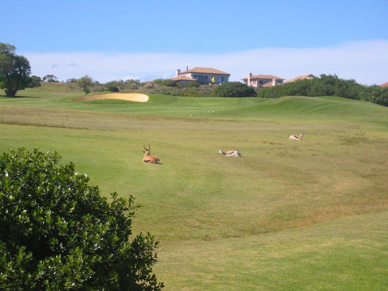Golf And Stay Mossel Bay Golf Estate Mossel Bay Western Cape South Africa Complementary Colors, Ball Game, Sport, Golfing