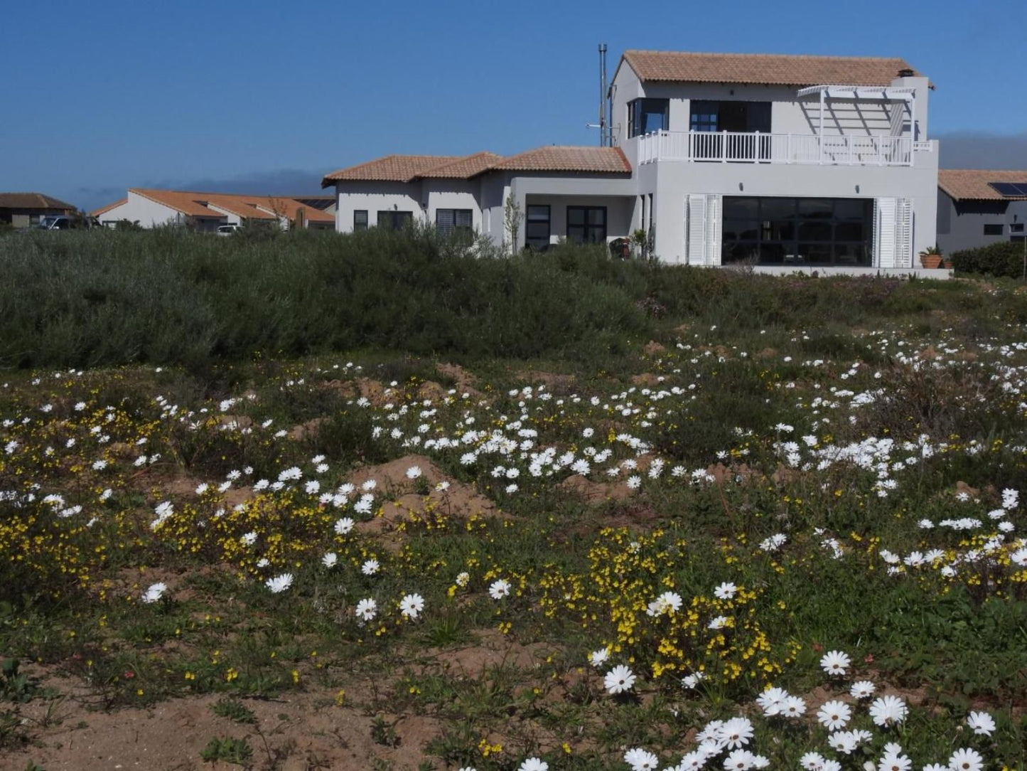 Golfers Haven & Lagoon Links, House, Building, Architecture, Plant, Nature