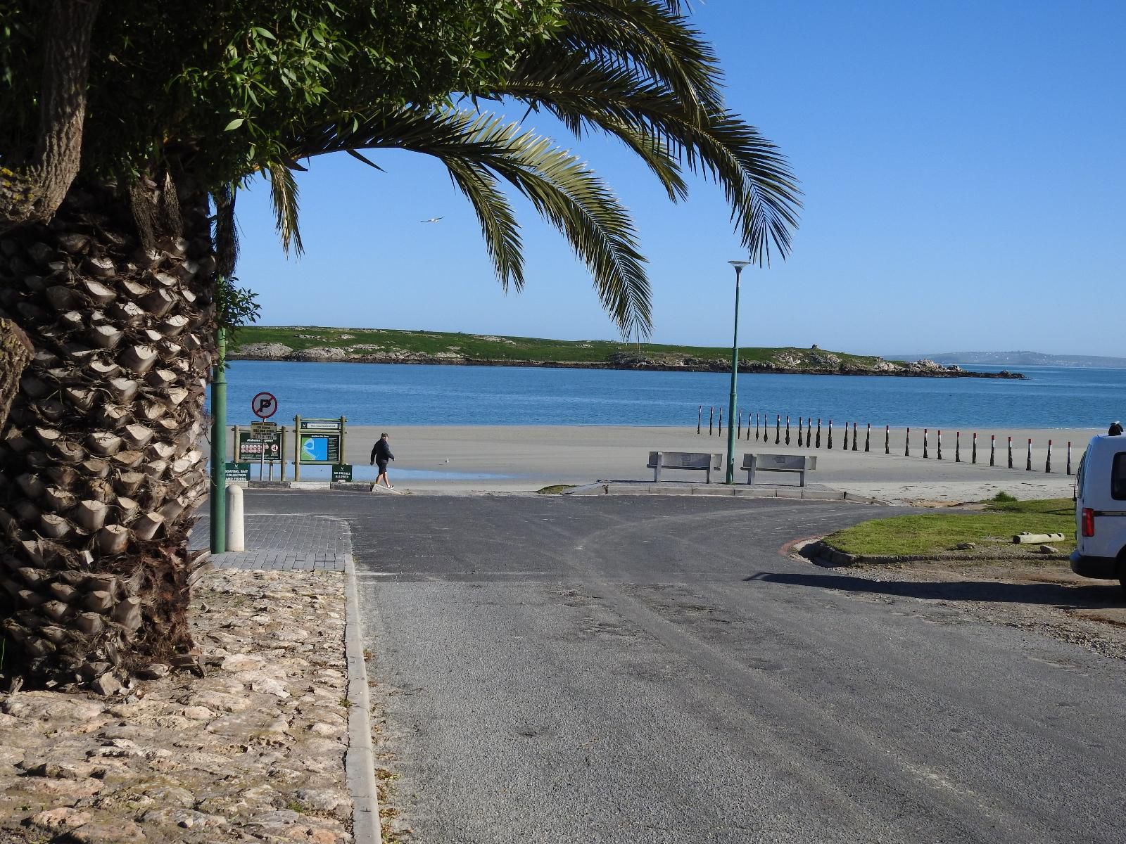 Golfers Haven & Lagoon Links, Beach, Nature, Sand, Palm Tree, Plant, Wood