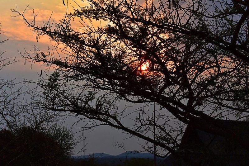 Golferslodge 167 Zebula Country Club And Spa Zebula Golf Estate Limpopo Province South Africa Sky, Nature, Sunset