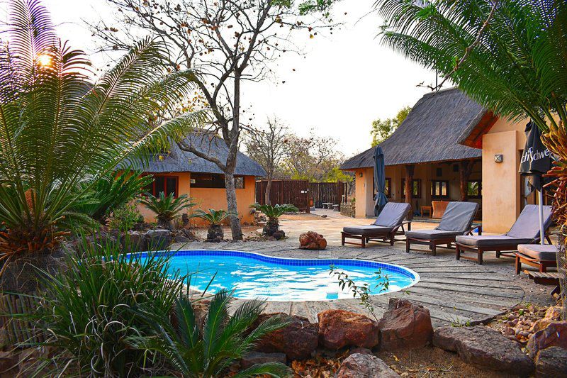 Golferslodge 167 Zebula Country Club And Spa Zebula Golf Estate Limpopo Province South Africa Palm Tree, Plant, Nature, Wood, Swimming Pool