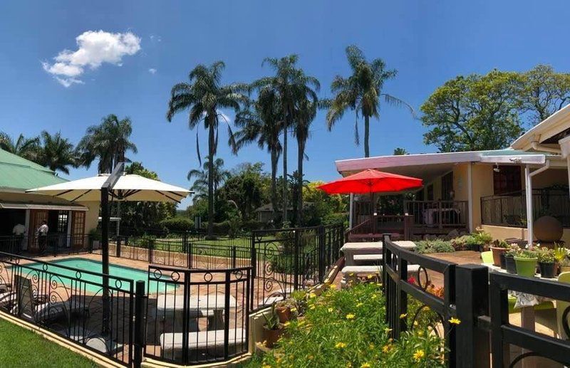 Golf View Lodge Melmoth Melmoth Kwazulu Natal South Africa Complementary Colors, Palm Tree, Plant, Nature, Wood, Swimming Pool