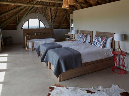 Gondwana Game Reserve Mossdustria Mossel Bay Western Cape South Africa Bedroom